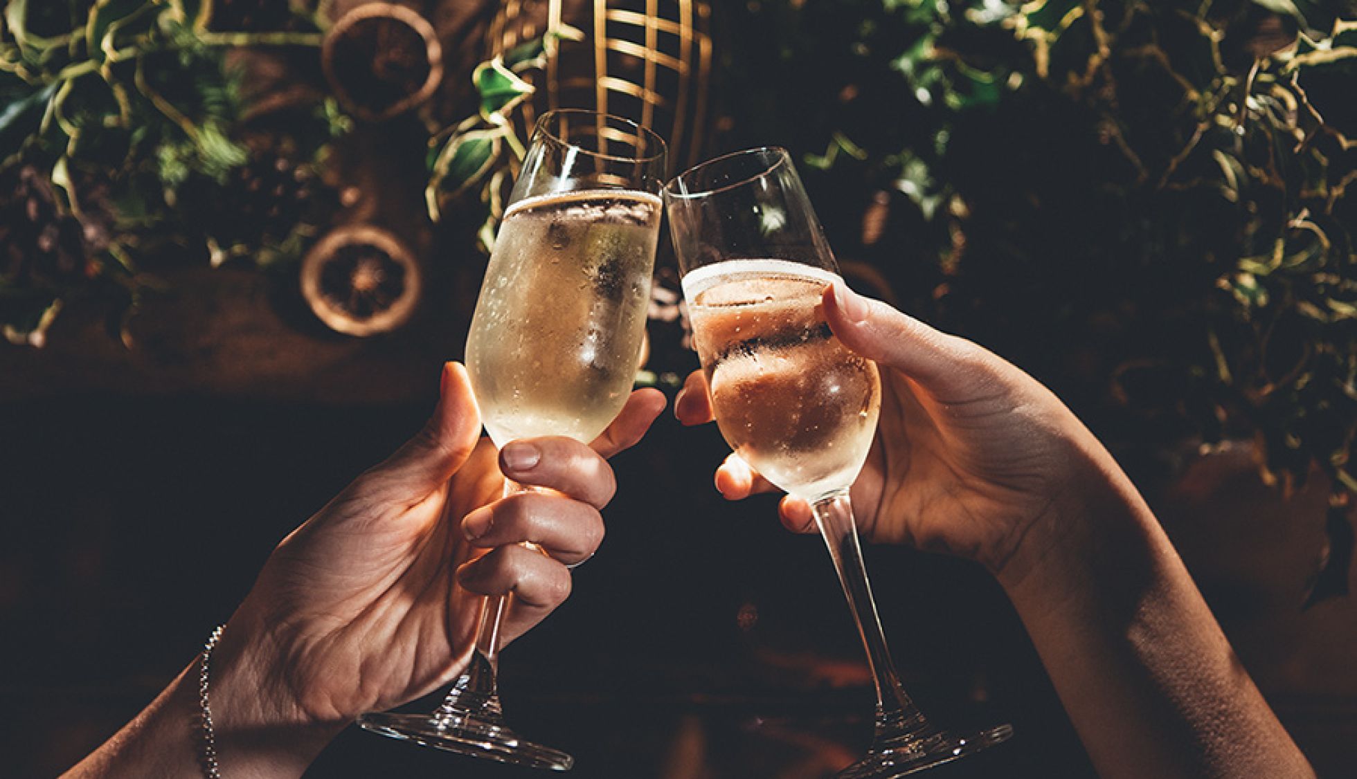 Christmas Cheers