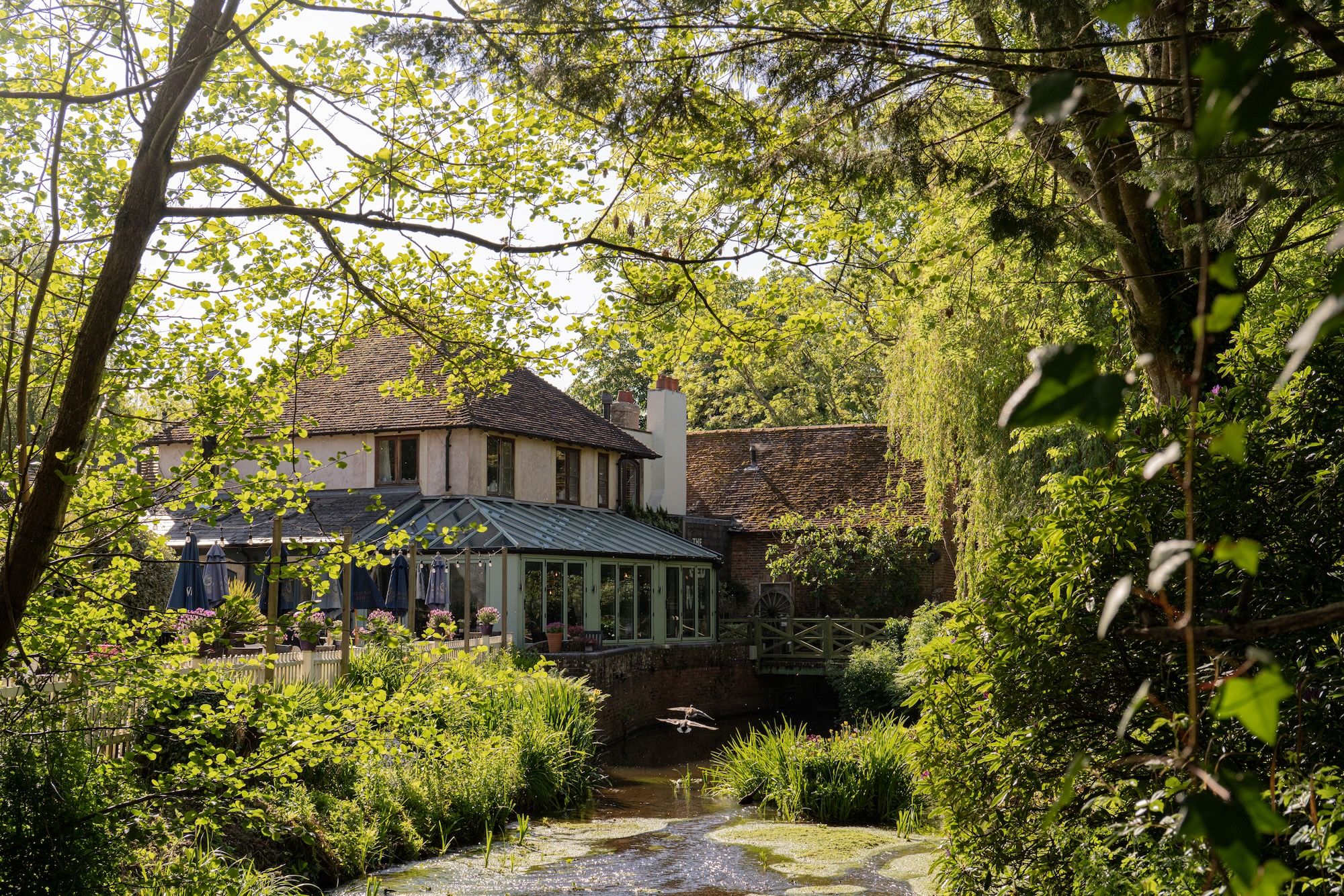 Beer Garden
