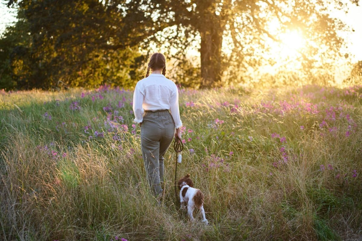 Explore Walking